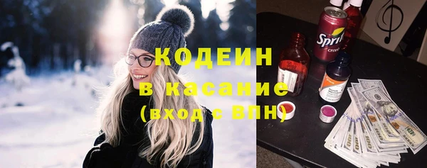 трава Коряжма
