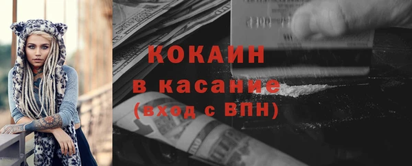 трава Коряжма