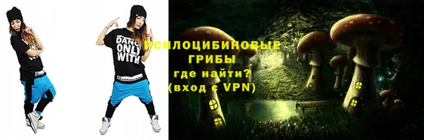 трава Коряжма