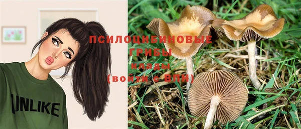 прущие грибы Киренск
