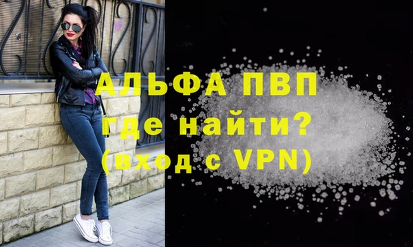 трава Коряжма