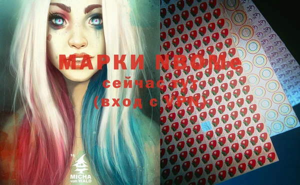 трава Коряжма