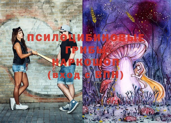 трава Коряжма