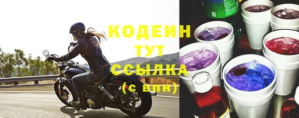 трава Коряжма