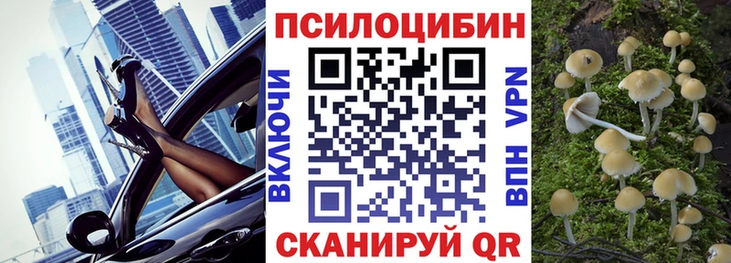 Купить  Арск  Псилоцибиновые грибы ЛСД 